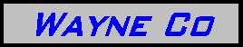 Wayne County Speedway